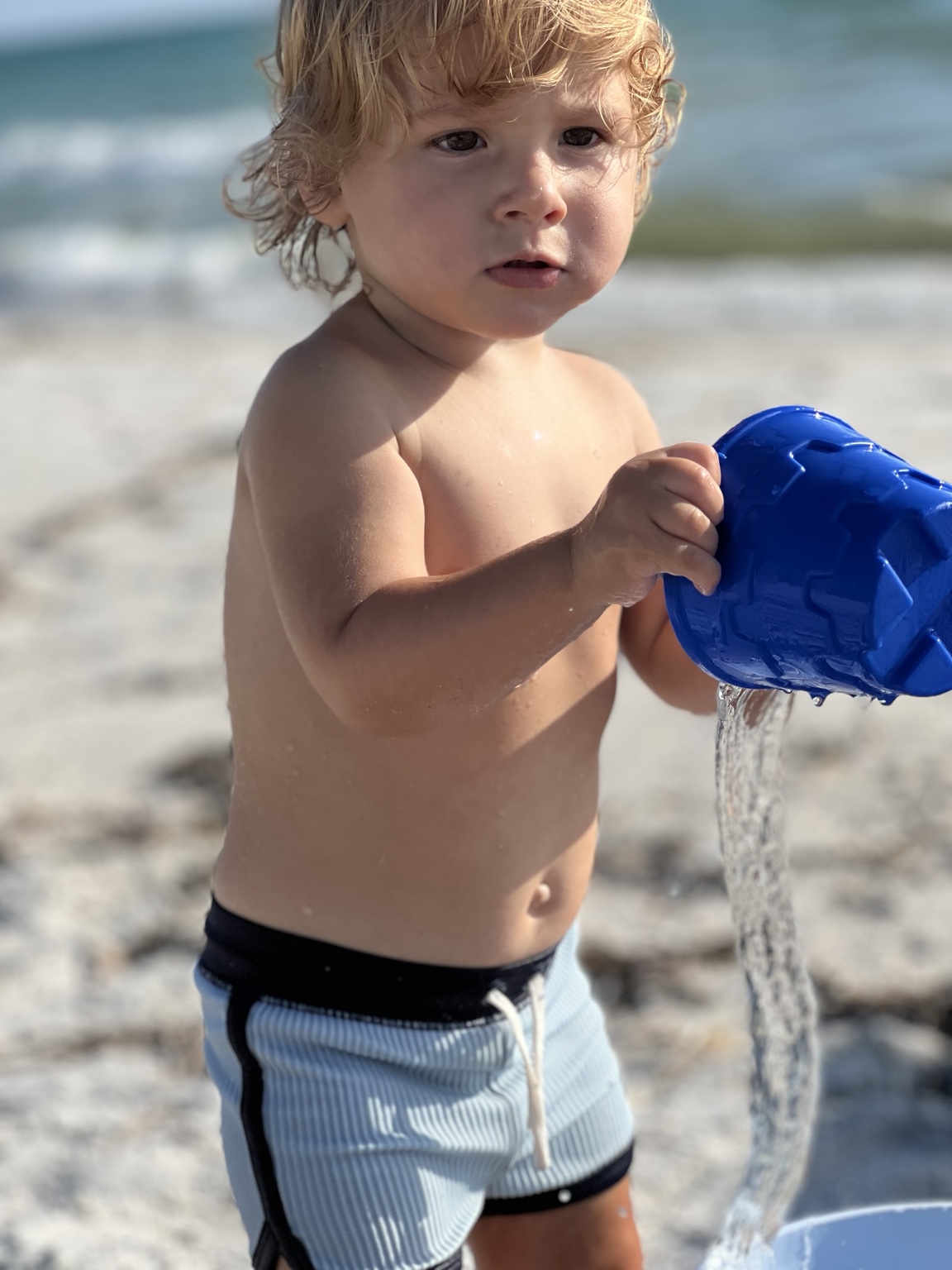 Charlie playing at the beach with a blue bucket